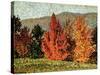 Autumn Landscape, circa 1903-Henri Edmond Cross-Stretched Canvas