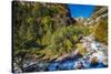 Autumn Landscape in Ordesa and Monte Perdido National Park, Huesca, Aragon, Spain-Stefano Politi Markovina-Stretched Canvas