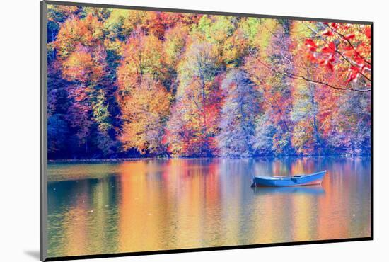 Autumn Landscape in (Seven Lakes) Yedigoller Park Bolu, Turkey-muratart-Mounted Photographic Print