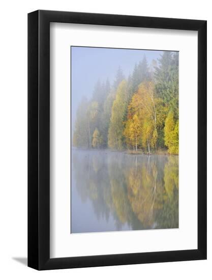 Photo, , large