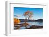 Autumn Landscape, Lake Wanaka, New Zealand-DmitryP-Framed Photographic Print