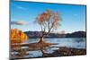 Autumn Landscape, Lake Wanaka, New Zealand-DmitryP-Mounted Photographic Print