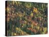 Autumn Landscape near Beach Lake, Mt. Rainier National Park, Washington, USA-null-Stretched Canvas