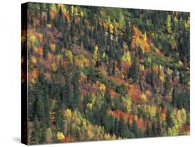 Autumn Landscape near Beach Lake, Mt. Rainier National Park, Washington, USA-null-Stretched Canvas