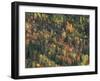 Autumn Landscape near Beach Lake, Mt. Rainier National Park, Washington, USA-null-Framed Photographic Print