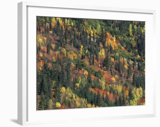 Autumn Landscape near Beach Lake, Mt. Rainier National Park, Washington, USA-null-Framed Photographic Print