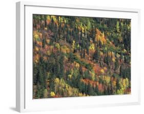 Autumn Landscape near Beach Lake, Mt. Rainier National Park, Washington, USA-null-Framed Photographic Print