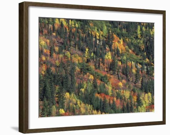 Autumn Landscape near Beach Lake, Mt. Rainier National Park, Washington, USA-null-Framed Photographic Print