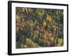 Autumn Landscape near Beach Lake, Mt. Rainier National Park, Washington, USA-null-Framed Photographic Print