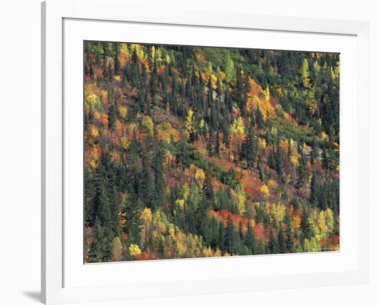 Autumn Landscape near Beach Lake, Mt. Rainier National Park, Washington, USA-null-Framed Photographic Print