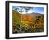 Autumn Landscape of Mount Chocorua, New England, New Hampshire, USA-Jaynes Gallery-Framed Photographic Print