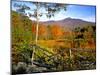 Autumn Landscape of Mount Chocorua, New England, New Hampshire, USA-Jaynes Gallery-Mounted Photographic Print