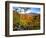 Autumn Landscape of Mount Chocorua, New England, New Hampshire, USA-Jaynes Gallery-Framed Photographic Print