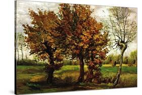 Autumn Landscape with Four Trees-Vincent van Gogh-Stretched Canvas