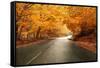 Autumn Landscape with Road and Beautiful Colored Trees-cristovao-Framed Stretched Canvas