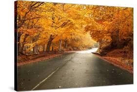 Autumn Landscape with Road and Beautiful Colored Trees-cristovao-Stretched Canvas