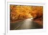 Autumn Landscape with Road and Beautiful Colored Trees-cristovao-Framed Photographic Print