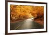 Autumn Landscape with Road and Beautiful Colored Trees-cristovao-Framed Photographic Print