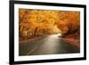 Autumn Landscape with Road and Beautiful Colored Trees-cristovao-Framed Photographic Print