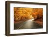 Autumn Landscape with Road and Beautiful Colored Trees-cristovao-Framed Photographic Print