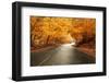 Autumn Landscape with Road and Beautiful Colored Trees-cristovao-Framed Photographic Print