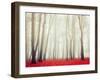 Autumn Landscape with Tall Bare Trees and Red Dry Fallen Leaves Covering the Ground-Marina Zezelina-Framed Photographic Print