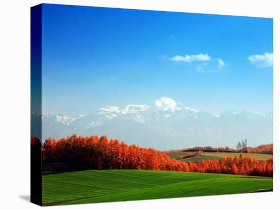 Autumn Landscape-null-Stretched Canvas