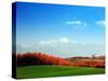 Autumn Landscape-null-Stretched Canvas