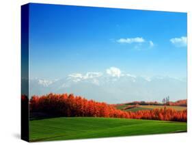 Autumn Landscape-null-Stretched Canvas