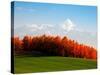 Autumn Landscape-null-Stretched Canvas