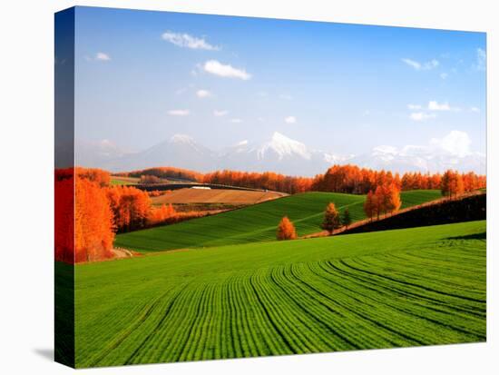 Autumn Landscape-null-Stretched Canvas