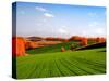 Autumn Landscape-null-Stretched Canvas