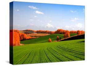 Autumn Landscape-null-Stretched Canvas