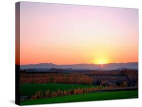 Autumn Landscape-null-Stretched Canvas