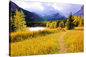 Autumn Landscape-Jeni Foto-Stretched Canvas