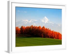 Autumn Landscape-null-Framed Photographic Print