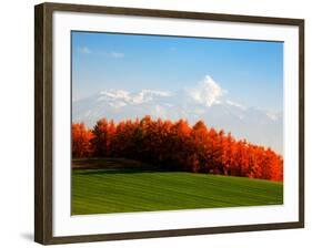 Autumn Landscape-null-Framed Photographic Print