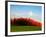 Autumn Landscape-null-Framed Photographic Print