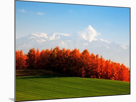 Autumn Landscape-null-Mounted Photographic Print