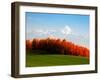 Autumn Landscape-null-Framed Photographic Print