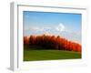 Autumn Landscape-null-Framed Photographic Print