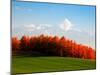 Autumn Landscape-null-Mounted Photographic Print