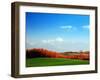 Autumn Landscape-null-Framed Photographic Print