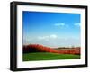 Autumn Landscape-null-Framed Photographic Print