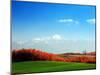 Autumn Landscape-null-Mounted Photographic Print