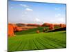 Autumn Landscape-null-Mounted Photographic Print