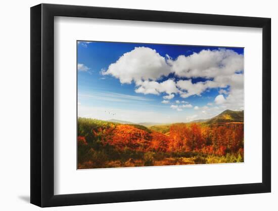 Autumn landscape-Philippe Sainte-Laudy-Framed Photographic Print