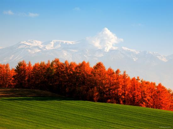 Premium Photographic Print, , large