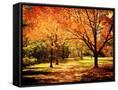 Canvas Black