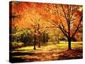 Stretched Canvas